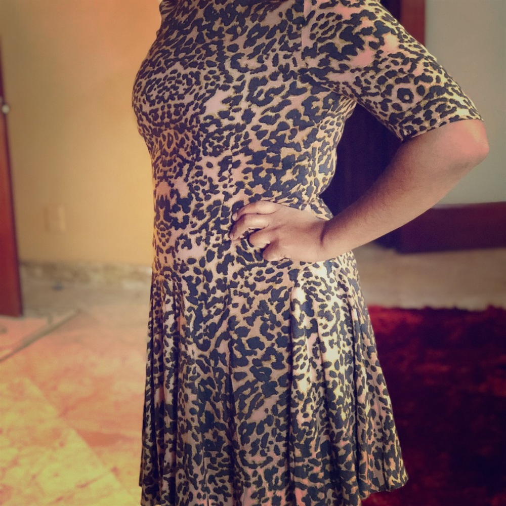 H&M Leopard Print Flare Out Dress
